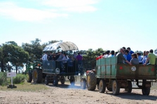visitamos la ganaderia.jpg